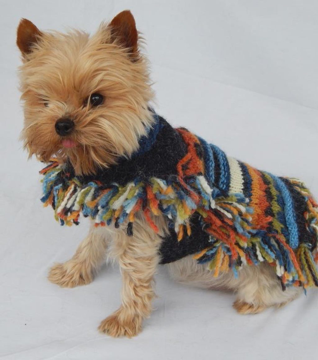 Striped Doggie Poncho with Multicolor Fringe